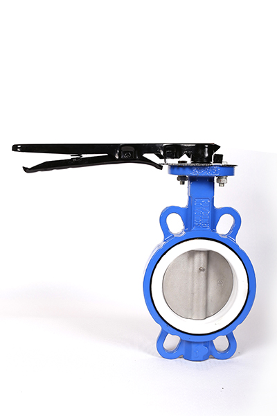 D71X5-PTFE-304 大体