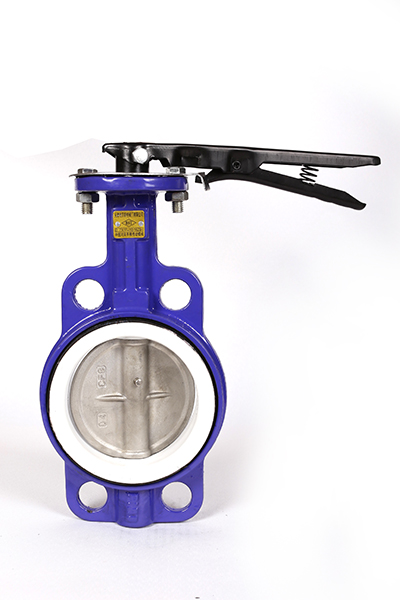 D71X-304-PTFE 中体