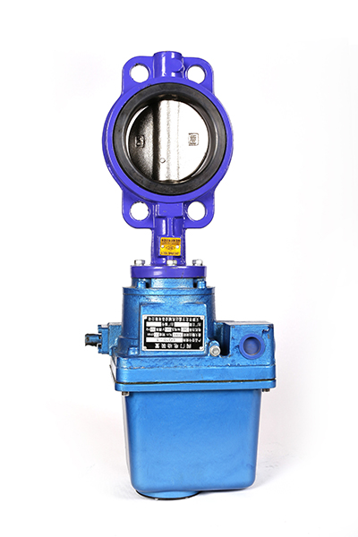 D971X-EPDM 大体 气动蝶阀